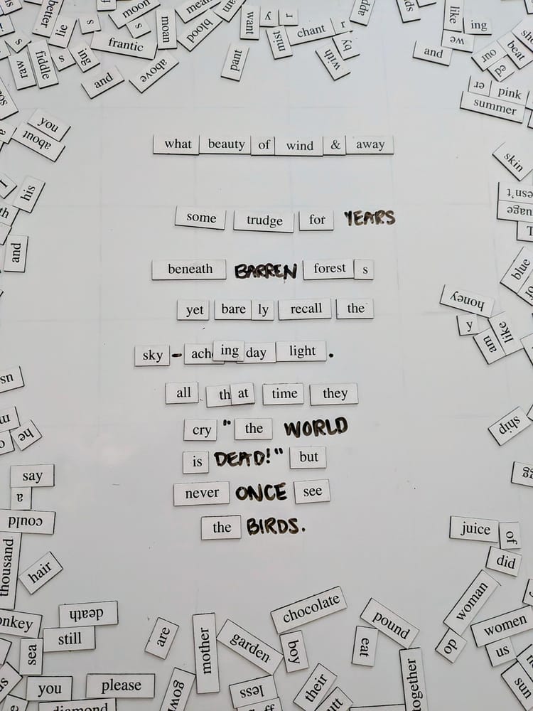 day 23; what beauty of wind & away